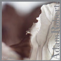 Roberts,adam - Leaf Metal - Music CD