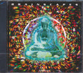 Brainscapes - Brainscapes Music CD