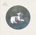 Hanging Up The Moon - Biggest Lie In The World - Vinyl Record
