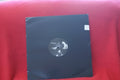 Alter Ego - Why Not - Vinyl Record