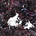Pikaya - Kambrium - Vinyl Record