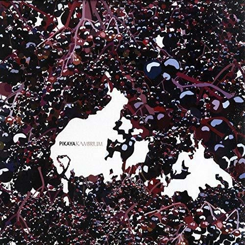 Pikaya - Kambrium - Vinyl Record