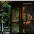 Viola,mike - Just Before Dark - Music CD