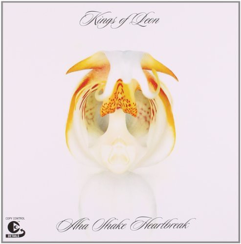 Kings Of Leon - Aha Shake Heartbreak - Music CD