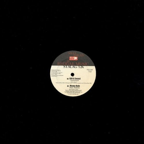 Various - Stalag Y2k - Vinyl Record