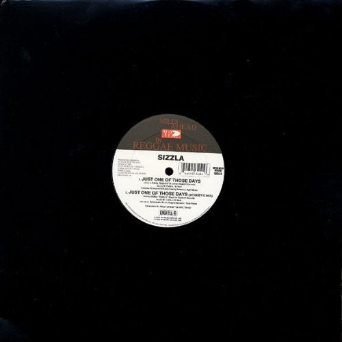 Sizzla - Just One Of Those - Vinyl Record