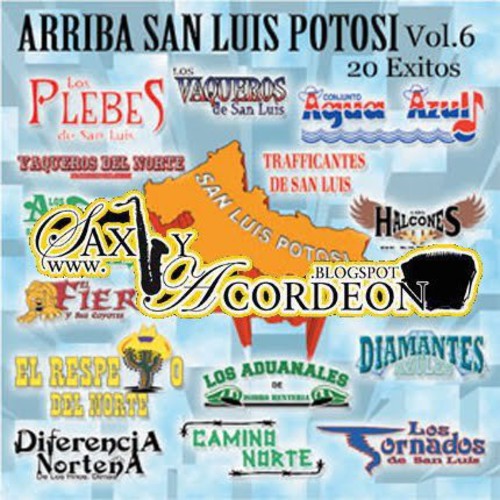 Arriba San Luis Potosi 6 / Various - Arriba San Luis Potosi 6 / Various - Music CD
