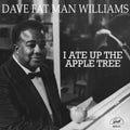Williams,dave - Fat Man - Music CD