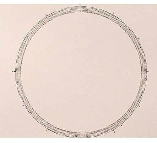 Tba Empty - Stupid Rotation 1 - Vinyl Record