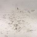 Hunsberger,jay - Movement - Vinyl Record