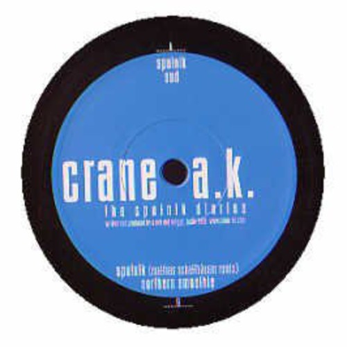 Crane A.k. - Sputnik Diaries - Vinyl Record