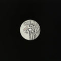 Reinhold,riley - Balsamic Times - Vinyl Record