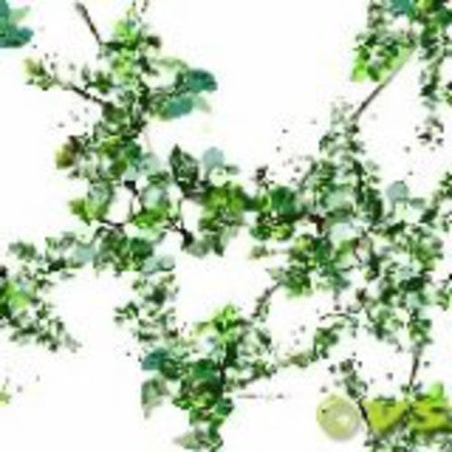 Reboot - Be Tougher / Letters - Vinyl Record
