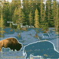 Bring Back The Buffalo - Bring Back The Buffalo - Music CD