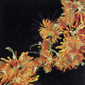 Brito,argenis - Micro Mundo - Vinyl Record