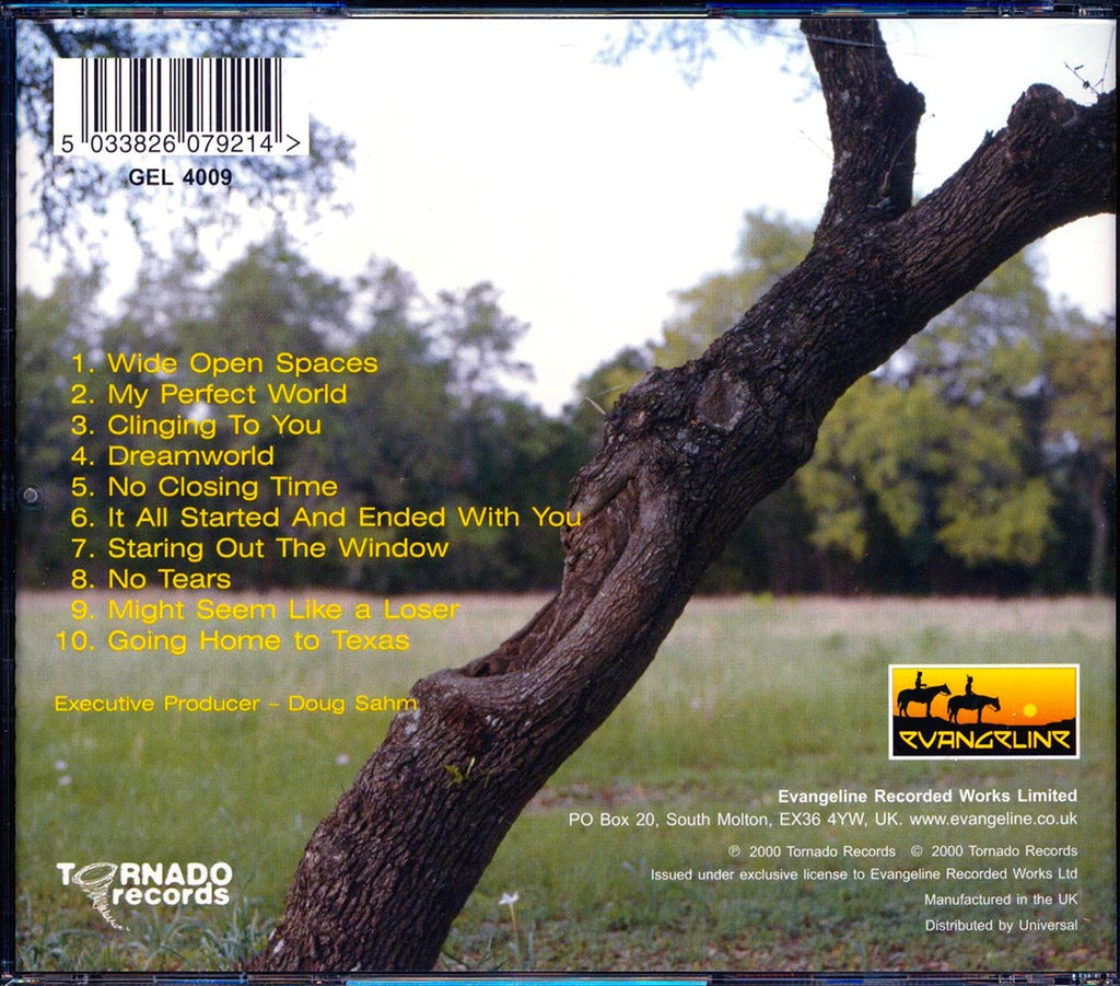 Ed Burleson - My Perfect World Music CD