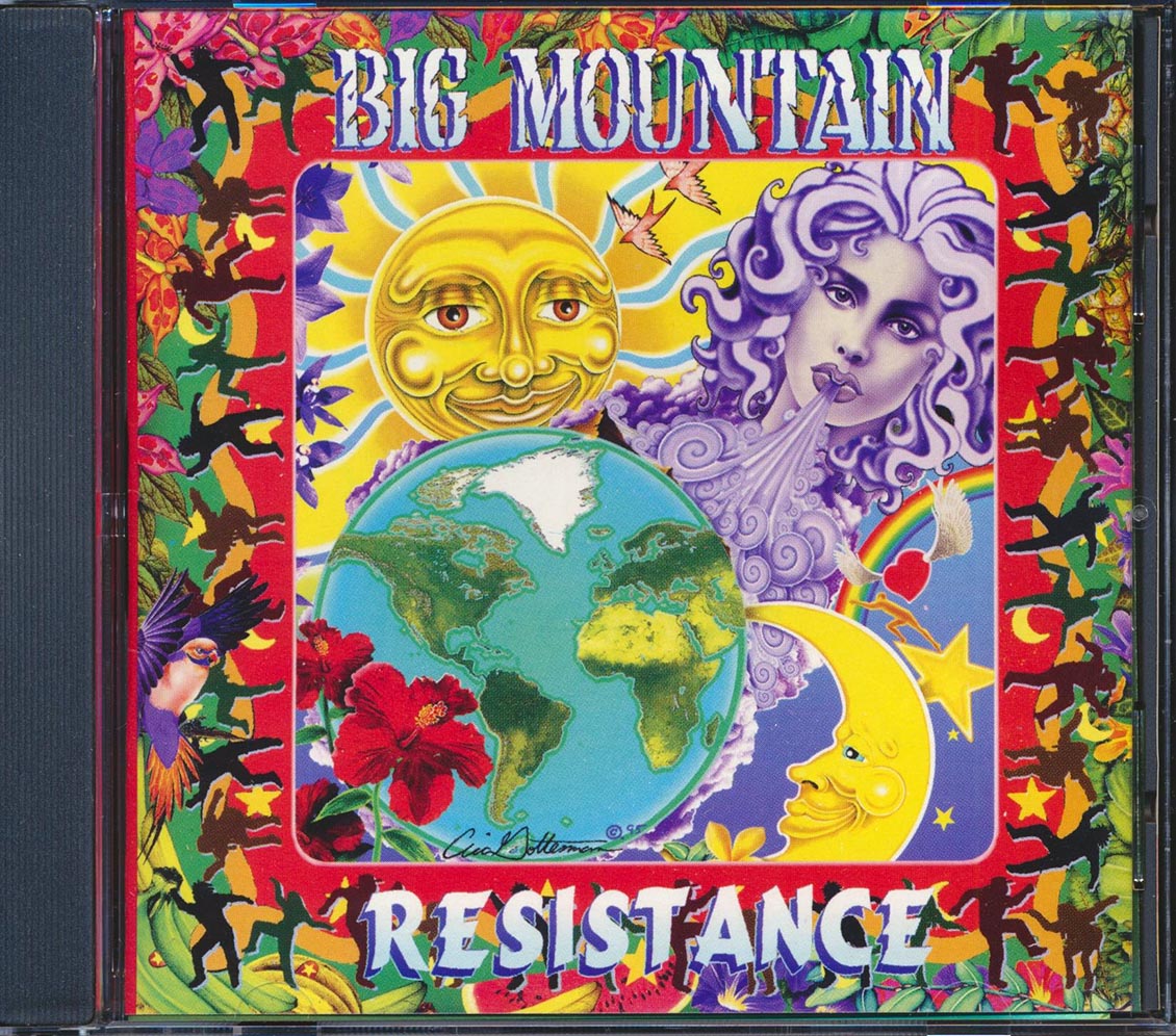 Big Mountain - Resistance Music CD