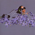 Los Updates - First If You Please - Music CD