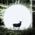 Lite - Installation - Music CD
