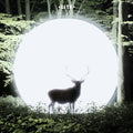 Lite - Installation - Vinyl Record