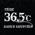 Choe Min Su - Tribe Rocksan - Music CD