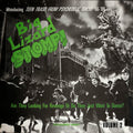 Big Lizard Stomp 2: Teen Trash From / Various - Big Lizard Stomp 2: Teen Trash From / Various - Music CD