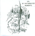 Stl - At Disconnected Moments - Vinyl Record