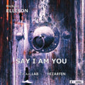 Ellison / Lems / Vocaallab Nederland / Vis - Say I Am You (mevlana) - Music CD