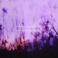 Whales In Cubicles - Death In The Evening - Music CD