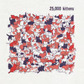 25,000 Kittens Vinyl Record