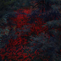 Cobb,alex - Marigold & Cable - Vinyl Record