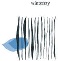 Sung,jung Yun - Wintessay - Music CD
