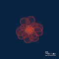 Dongbaekrak Compilation / Various - Dongbaekrak Compilation / Various - Music CD