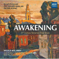 Pucihar / Voglar / Kopac - Awakening - Music CD