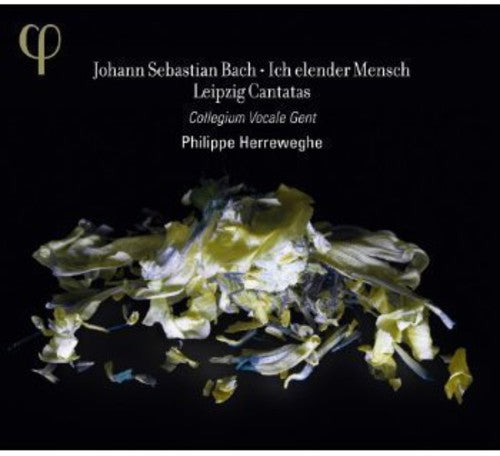 Bach / Collegium Vocale Gent / Herreweghe - Ich Elender Mensch: Leipzig Cantatas - Music CD