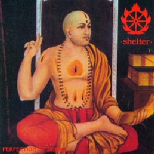 Perfection of Desire [LP] Vinyl Record