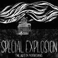Special Explosion - Art Of Mothering - Vinyl Record