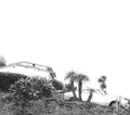 Timber Timbre - Hot Dreams - Music CD