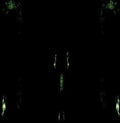 Impetuous Ritual - Unholy Congregation Of Hypocritical Ambivalence - Music CD