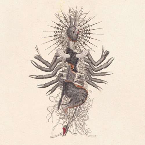 We Will Fail - Verstorung - Music CD
