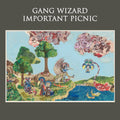 Gang Wizard - Important Picnic - Vinyl Record