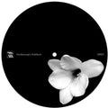 Lucy - Churches Schools & Guns Remixed - Vinyl Record