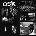 O.s.k. - We Will Never Change - Vinyl Record