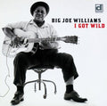 Williams,big Joe - I Got Wild - Music CD