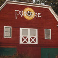 Glass - Palindrome - Music CD
