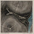 Needtobreathe - Rivers In The Wasteland - Music CD