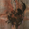 Avey Tare's Slasher Flicks - Enter The Slasher House - Music CD