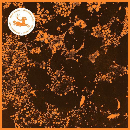 Downliners Sekt - Silent Ascent - Music CD