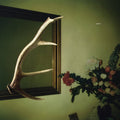 Loops Haunt - Exits - Vinyl Record
