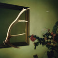 Loops Haunt - Exits - Music CD